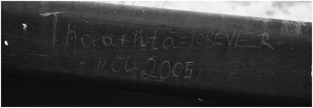 https://www.brasovulmeu.eugenandronic.ro:443/files/gimgs/th-4_in0.jpg