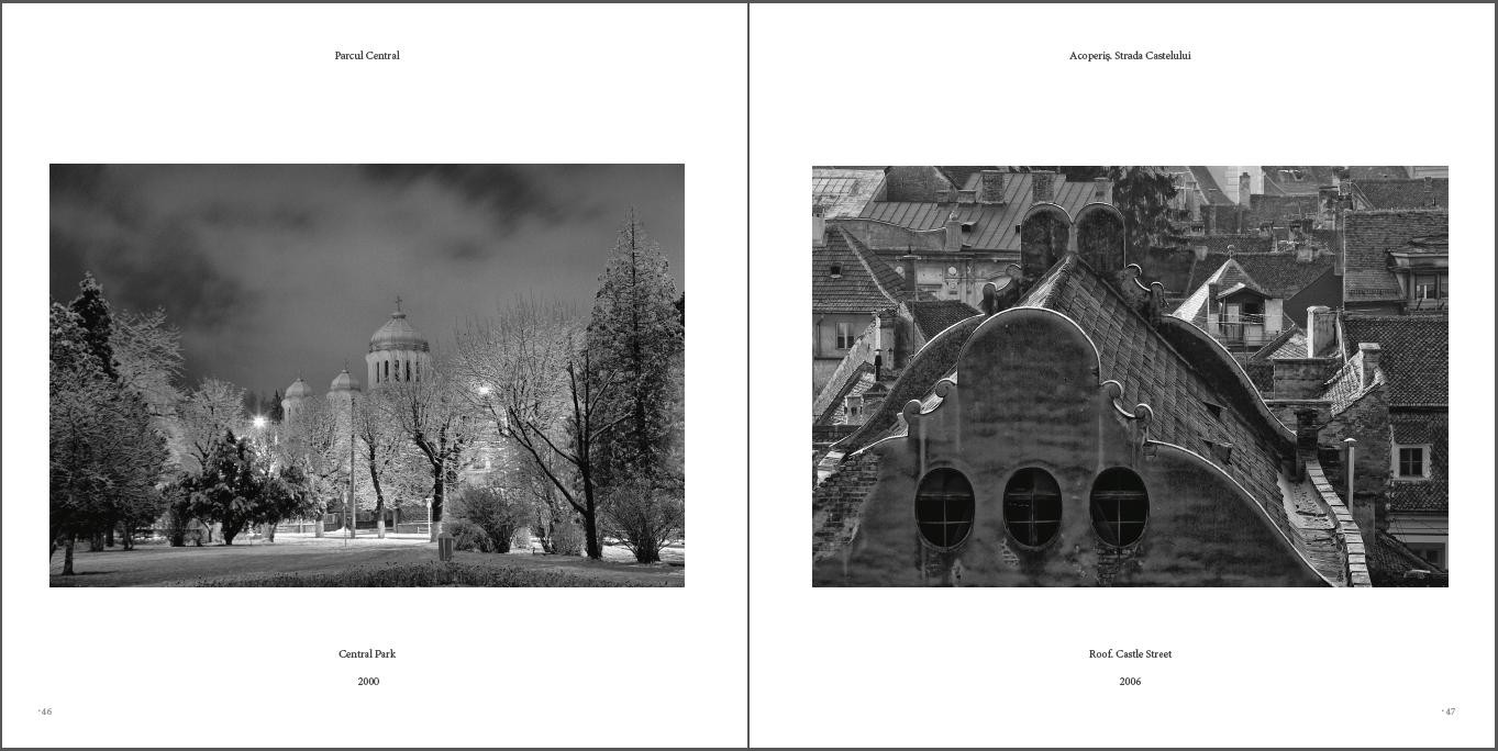 https://www.brasovulmeu.eugenandronic.ro:443/files/gimgs/th-5_snap_03.jpg