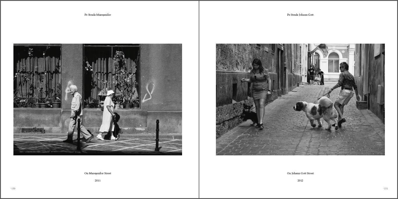 https://www.brasovulmeu.eugenandronic.ro:443/files/gimgs/th-7_snap_14.jpg